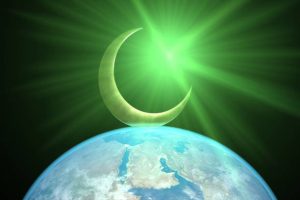 زبان بدن گربه: راهنمای جامع برای درک بهتر دوست پشمالوی شما