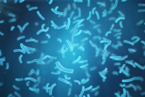 نکات پول درآوردن از ویدیوهای آموزشی مهارت‌های نرم