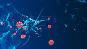 16 نکته برای تشخیص، درمان و تسکین خارش بدن سگ