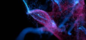 17 نکته جذاب درباره سگ شیانلو: رقیبی شایسته برای ژرمن شپرد