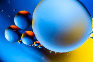 آیا پرتقال برای سگ مفید است؟ 19 نکته مهم!