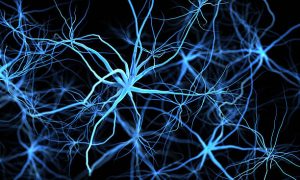 راهنمای جامع برای بک لینک PBN: افزایش رتبه سایت با شبکه‌های خصوصی بلاگ