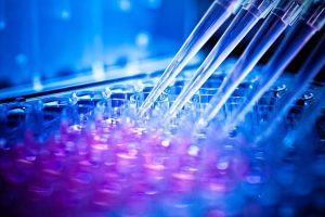 آیا می‌توان از طریق طراحی لوگو و گرافیک آنلاین درآمد داشت؟ (21 نکته)