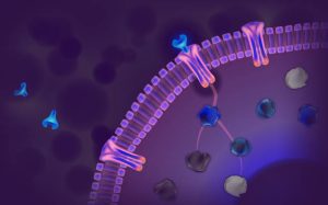 15 ویژگی یک رابطه عاشقانه سالم