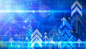 17 نکته جذاب درباره سگ شیانلو: رقیبی شایسته برای ژرمن شپرد