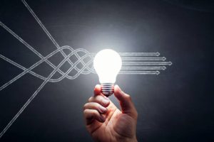 10 طوطی سخنگوی محبوب خانگی و جهانی