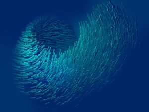 راز خوش اندامی: خلاصه تجربه‌های نی‌نی‌سایتی‌ها (19 مورد)