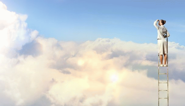 زبان بدن گربه: راهنمای جامع برای درک بهتر دوست پشمالوی شما